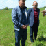 Мензелинские поля обещают хороший урожай - Мензелинский район