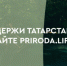 В Татарстане могут появиться 5 новых туристско-рекреационных кластеров - Мензелинский район