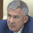Главам районов Татарстана поручено взять на контроль вопросы обслуживания парков - Мензеля
