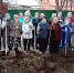 Мензелинцы приняли участие в общегородском субботнике - Мензеля