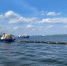 АО «Транснефть – Прикамье» за 9 месяцев 2024 года провело 1,5 тыс. плановых учебно-тренировочных занятий - Мензеля