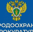 Казанской межрайонной природоохранной прокуратурой проведена проверка исполнения законодательства в сфере обращения с отходами. - Мензелинский район