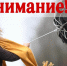 Консультация – предупреждение об интенсивности метеорологического явления 08.04.2025 г. - Мензелинский район