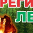 Штормовое предупреждение о высокой  пожарной опасности лесов на территории Республики Татарстан - Мензелинский район
