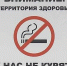 Никотиновая ловушка: чем опасны сигареты, вейпы и кальян и как из них выбраться - Мензеля