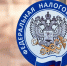 Срок уплаты налога по патентной системе налогообложения - Мензеля