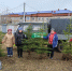 В Татарстане с 25 апреля высадят более миллиона деревьев в рамках акции «Сад памяти» - Мензеля